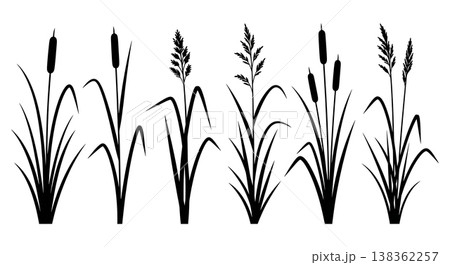Assortment of Six Tall Grass and Reed Silhouettes on White Background 138362257