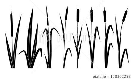 Assortment of Six Tall Grass and Reed Silhouettes on White Background 138362258