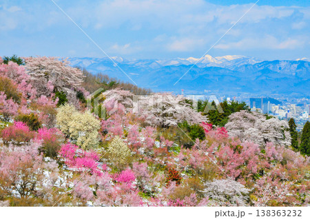 春爛漫の花見山、色鮮やかな桜と花々が山を彩る桃源郷のパノラマ風景 138363232