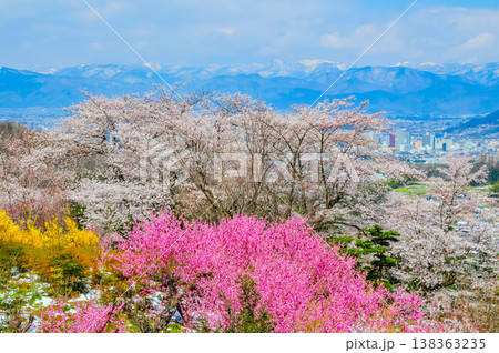 春爛漫の花見山、色鮮やかな桜と花々が山を彩る桃源郷のパノラマ風景 春爛漫の花見山、色鮮やかな桜と花々が山を彩る桃源郷のパノラマ風景 138363235