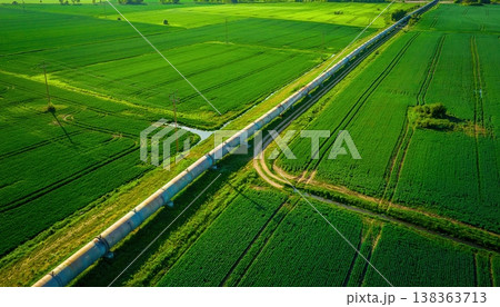 Aerial view of green agricultural fields with long straight road dividing landscape rural farming pattern and symmetry natural environment scene 138363713