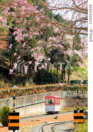 関西サイクルスポーツセンターと桜 138363899