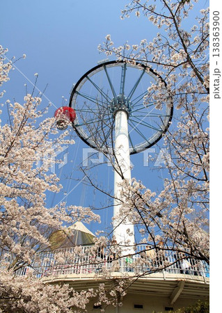 関西サイクルスポーツセンターのサイクルパラシュートと桜 138363900
