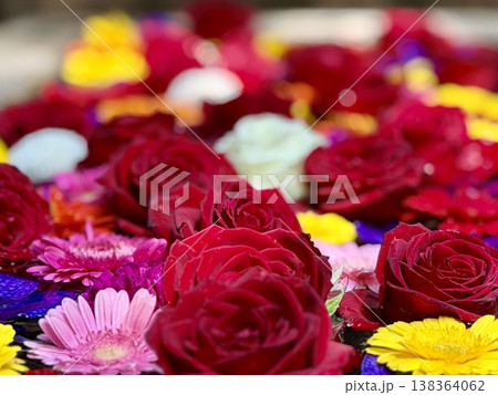 3月の花手水(薔薇・ガーベラ・バンダ)〈菅生神社/愛知県岡崎市〉 138364062