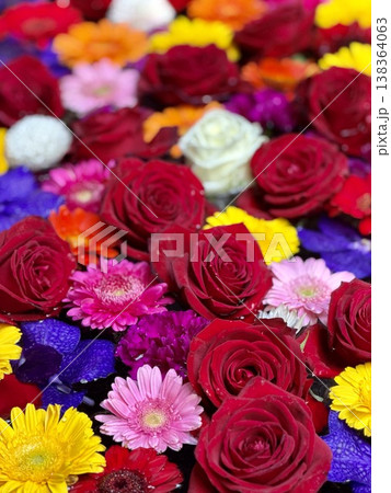 3月の花手水(薔薇・ガーベラ・バンダ)〈菅生神社/愛知県岡崎市〉 138364063