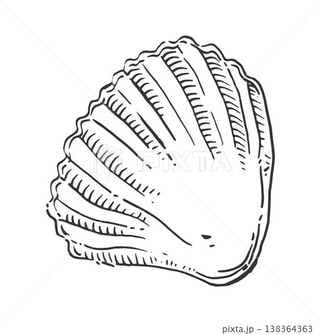 Hand-drawn seashell or scallop sketch. This vector seashell sketch is perfect for beach themes, vacation concepts, summer holidays, and marine decorative art. Hand-drawn seashell or scallop sketch. This vector seashell sketch is perfect for beach themes, vacation concepts, summer holidays, and marine decorative art. 138364363
