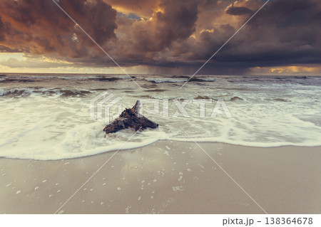 Dramatic sunset and tree root on beach Dramatic sunset and tree root on beach 138364678