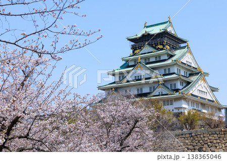 西の丸庭園から見た桜満開の大阪城 138365046