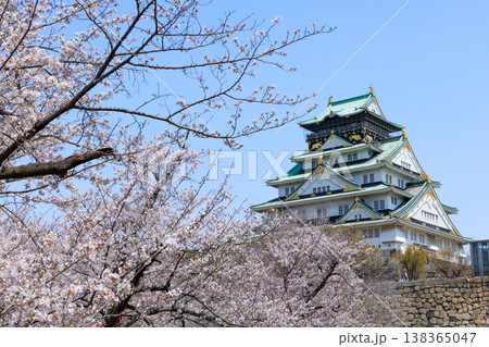 西の丸庭園から見た桜満開の大阪城 西の丸庭園から見た桜満開の大阪城 138365047