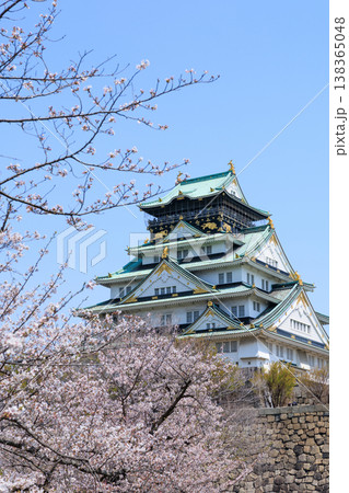 西の丸庭園から見た桜満開の大阪城 西の丸庭園から見た桜満開の大阪城 138365048