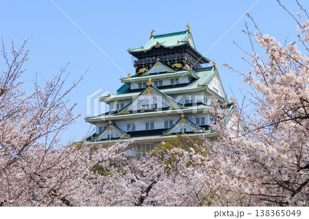 西の丸庭園から見た桜満開の大阪城 西の丸庭園から見た桜満開の大阪城 138365049