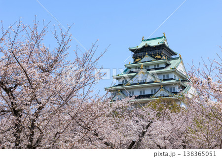 西の丸庭園から見た桜満開の大阪城 西の丸庭園から見た桜満開の大阪城 138365051