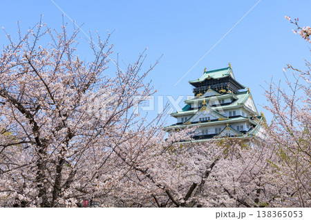 西の丸庭園から見た桜満開の大阪城 138365053