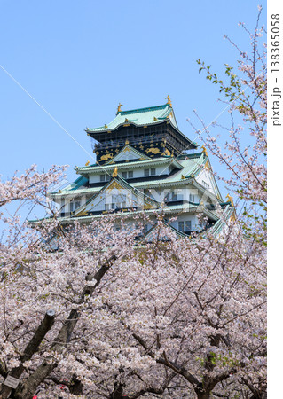 西の丸庭園から見た桜満開の大阪城 西の丸庭園から見た桜満開の大阪城 138365058