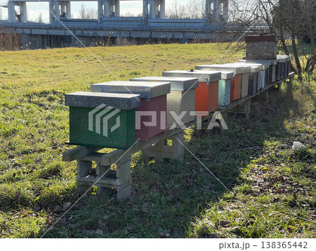 Bee hives in the Italian countryside 138365442