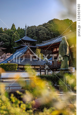 奈良県當麻寺の春風景 桜と塔を望む静寂の古刹 奈良県當麻寺の春風景 桜と塔を望む静寂の古刹 138365480