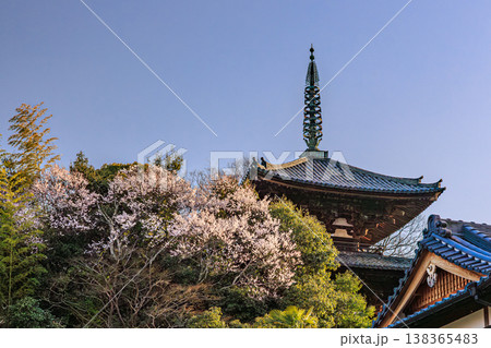 當麻寺の春 桜越しに望む塔と山の彩り 138365483