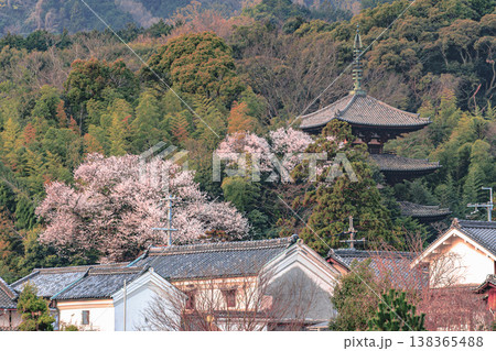 奈良當麻寺の三重塔が見下ろす町並み 138365488