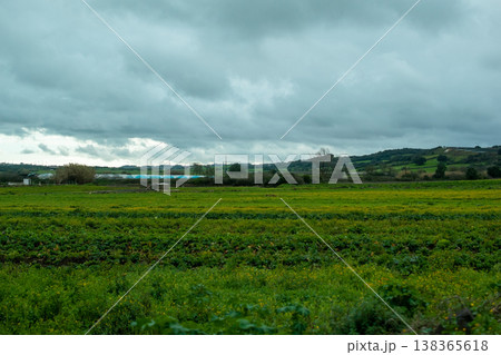 Countryside View of Agricultural Fields Under Overcast Weather Countryside View of Agricultural Fields Under Overcast Weather 138365618