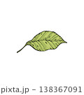 Sketch lemonade green leaf. Summer cold drinks, hand drawn yellow lemons slices and leaves. Glass of lemonade with ice vector illustration. Drink fruit lemonade graphic, juice and mint leaf 138367091