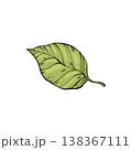 Sketch lemonade green leaf. Summer cold drinks, hand drawn yellow lemons slices and leaves. Glass of lemonade with ice vector illustration. Drink fruit lemonade graphic, juice and mint leaf 138367111