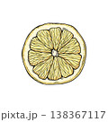 Sketch lemonade. Summer cold drinks, hand drawn yellow lemons slices and leaves. Glass of lemonade with ice vector illustration. Drink fruit lemonade graphic, juice and mint leaf 138367117