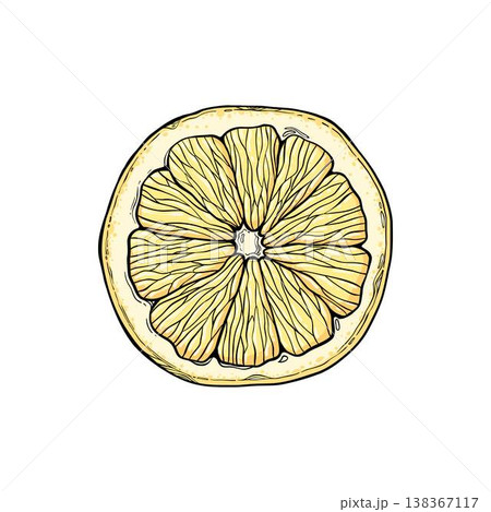 Sketch lemonade. Summer cold drinks, hand drawn yellow lemons slices and leaves. Glass of lemonade with ice vector illustration. Drink fruit lemonade graphic, juice and mint leaf Sketch lemonade. Summer cold drinks, hand drawn yellow lemons slices and leaves. Glass of lemonade with ice vector illustration. Drink fruit lemonade graphic, juice and mint leaf 138367117