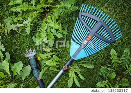 Garden tools such as a rake and cordless shears among green grass, weeds and small wildflowers in garden Garden tools such as a rake and cordless shears among green grass, weeds and small wildflowers in garden 138368517