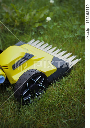 Yellow electric trimmer is cutting the green grass and wildflowers in garden Yellow electric trimmer is cutting the green grass and wildflowers in garden 138368519