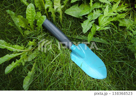 Blue garden shovel on green grass with weeds and small wildflowers in garden Blue garden shovel on green grass with weeds and small wildflowers in garden 138368523