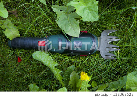 Green electric grass shears among grass, weeds and small wildflowers in garden Green electric grass shears among grass, weeds and small wildflowers in garden 138368525