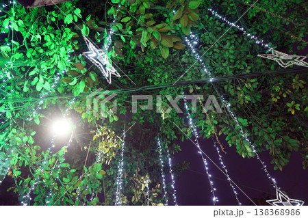 Beautiful Christmas Star and Fairy Lights Hanging from Tree Branches at Night Beautiful Christmas Star and Fairy Lights Hanging from Tree Branches at Night 138368986