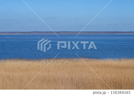 Lake Liepaja shoreline with reeds and calm blue water in Latvia early spring landscape scene Lake Liepaja shoreline with reeds and calm blue water in Latvia early spring landscape scene 138369165