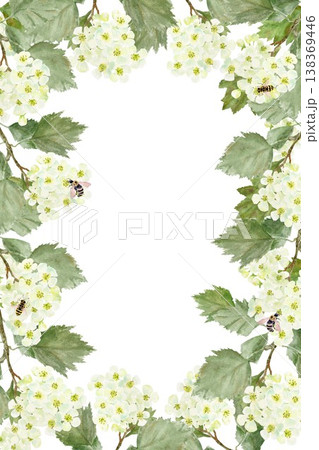 Rectangular vertical frame with white barberry flowers and leaves and bees, hand-drawn watercolor illustration on an isolated background. Simple spring clip art with space for text, decoration. 138369446