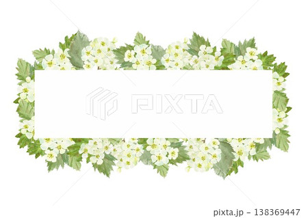 Rectangular horizontal frame with white barberry flowers and leaves. Hand-drawn watercolor illustration on an isolated background. Simple spring clip art with space for text, decoration, and design Rectangular horizontal frame with white barberry flowers and leaves. Hand-drawn watercolor illustration on an isolated background. Simple spring clip art with space for text, decoration, and design 138369447