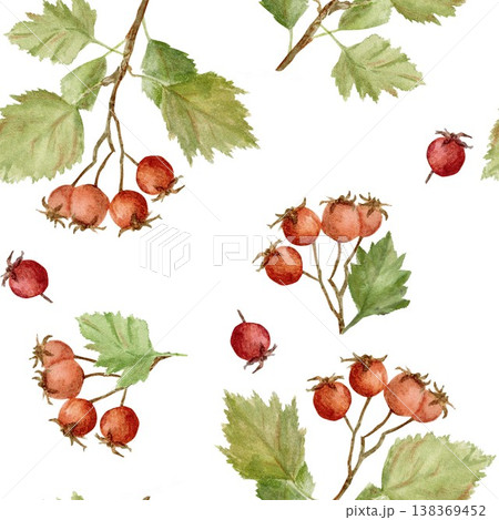 Seamless pattern of red berries and barberry leaves. Hand-drawn watercolor illustration on an isolated background. Clip art for textiles, wrapping paper, and design. Seamless pattern of red berries and barberry leaves. Hand-drawn watercolor illustration on an isolated background. Clip art for textiles, wrapping paper, and design. 138369452