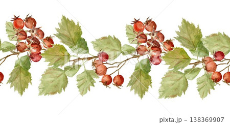 Seamless horizontal border of branches with red berries, white flowers, and barberry leaves. Hand-drawn watercolor illustration on an isolated background. Clip art for textiles, wrapping paper. 138369907