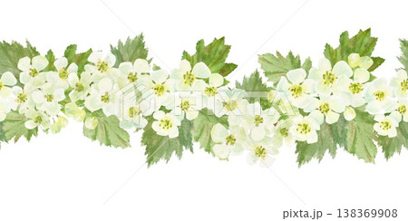 Seamless horizontal border with white barberry flowers and leaves. Hand-drawn watercolor illustration on an isolated background. Botanical clip art for textiles, wrapping paper, and design. 138369908