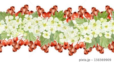 Seamless horizontal border with red berries, white flowers, and barberry leaves. Hand-drawn watercolor illustration on an isolated background. Clip art for textiles, wrapping paper, and design. 138369909
