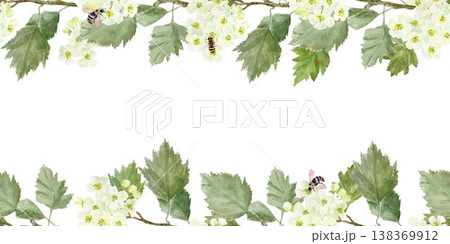 Seamless horizontal border of branches with white barberry flowers and leaves and bees. Hand-drawn watercolor illustration on an isolated background. Botanical clip art for textiles, wrapping paper. Seamless horizontal border of branches with white barberry flowers and leaves and bees. Hand-drawn watercolor illustration on an isolated background. Botanical clip art for textiles, wrapping paper. 138369912