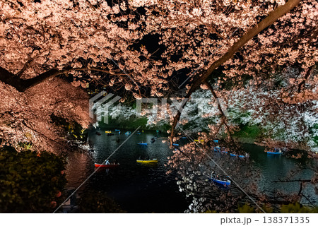夜桜 ~東京・千鳥ヶ淵・2~ 夜桜 ~東京・千鳥ヶ淵・2~ 138371335