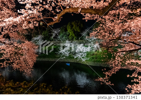 夜桜 ~東京・千鳥ヶ淵・8~ 夜桜 ~東京・千鳥ヶ淵・8~ 138371341