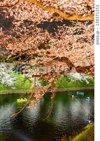 夜桜　～東京・千鳥ヶ淵・20～ 138371353