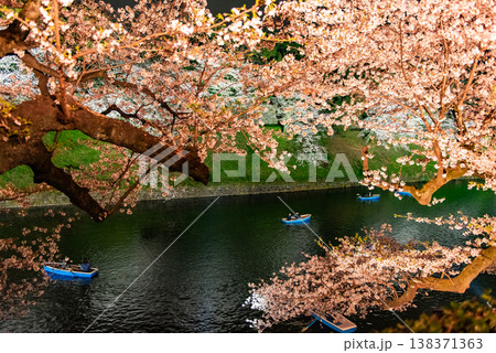 夜桜　～東京・千鳥ヶ淵・30～ 138371363