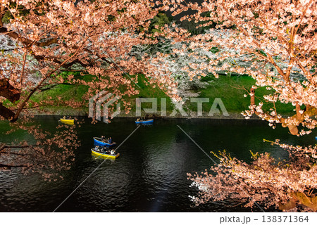 夜桜　～東京・千鳥ヶ淵・31～ 138371364
