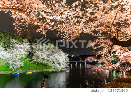 夜桜 ~東京・千鳥ヶ淵・36~ 夜桜 ~東京・千鳥ヶ淵・36~ 138371369