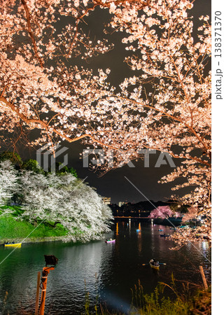 夜桜　～東京・千鳥ヶ淵・37～ 138371370