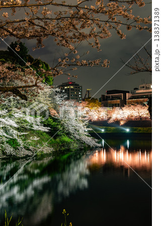 夜桜　～東京・千鳥ヶ淵・58～ 138371389
