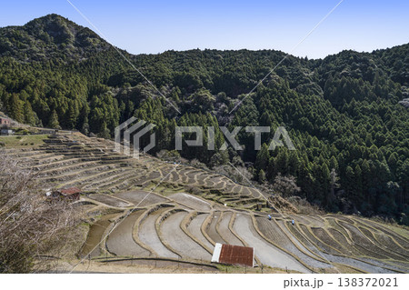 丸山千枚田(3月中旬) 丸山千枚田(3月中旬) 138372021