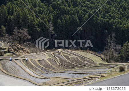 丸山千枚田（3月中旬） 138372023